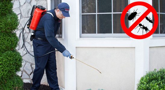 Araklı Hamam Böceği İlaçlama böcek ilaçlama ve haşere kontrolü — ilaclama-tr.com
